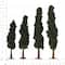 12 Packs: 4 ct. (48 total) Mini Conifer Trees by Make Market®